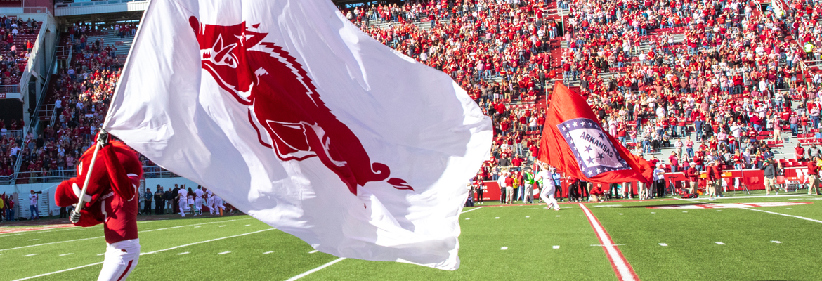 Arkansas Razorback mascot running with razoback flag across football field